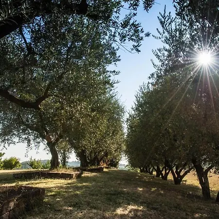 Bed & Breakfast Madonna Degli Angeli Fano