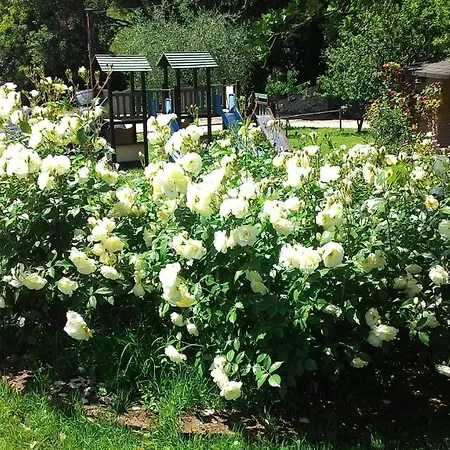 Madonna Degli Angeli Bed & Breakfast