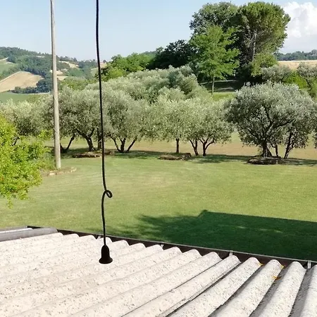 Madonna Degli Angeli Fano