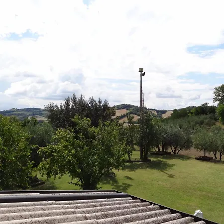 Madonna Degli Angeli